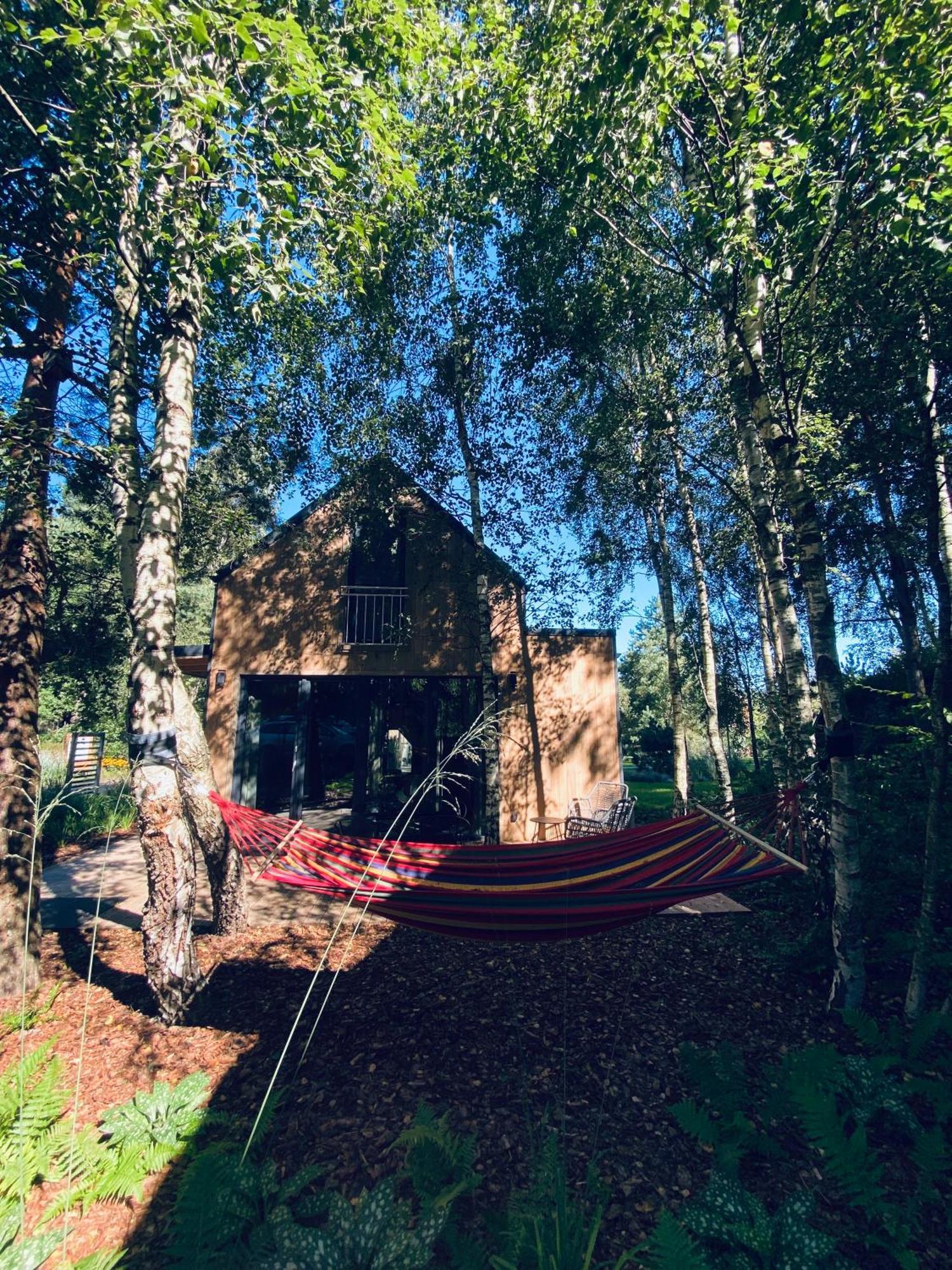 Miedzy Brzozami / Domy W Lesie Ciekocino Exterior foto